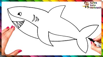 How To Draw A Shark Step By Step 🦈 Shark Drawing Easy