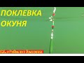 ПОКЛЕВКА КРУПНОГО ОКУНЯ НА ПОПЛАВОК С ПОДВОДНОЙ СЪЕМКОЙ.