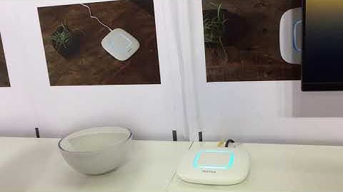 Mixtile Hub Voice Assistant demo