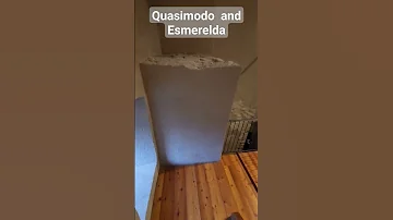How Do Quasimodo Have A Crush On Esmeralda By Climbing Up Down The Stairs 