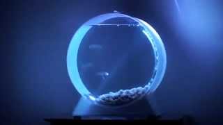 Unique Jellyfish Tank For Ur Home @ Fab.de screenshot 5