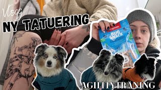 Visar min nya tatuering + Agilityträning | Vlogg