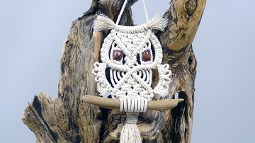 Macrame Owl Wall Hanging Tutorial For Beginners & Beyond