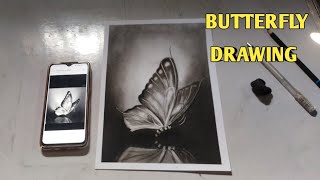 how to butterfly drawing with charcoal pencil ✏️