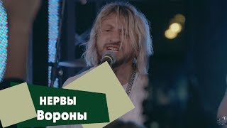 Нервы - Вороны (LIVE: Брать живьём на о2тв)