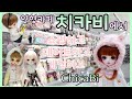 인형카페 치카비 방문후기! 구체관절인형  Ball jointed doll store cafe ChicaBi