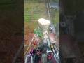 Арбористы удаляют берёзы под дождём #арбористика #treesurgeon  #chainsaw #stihl