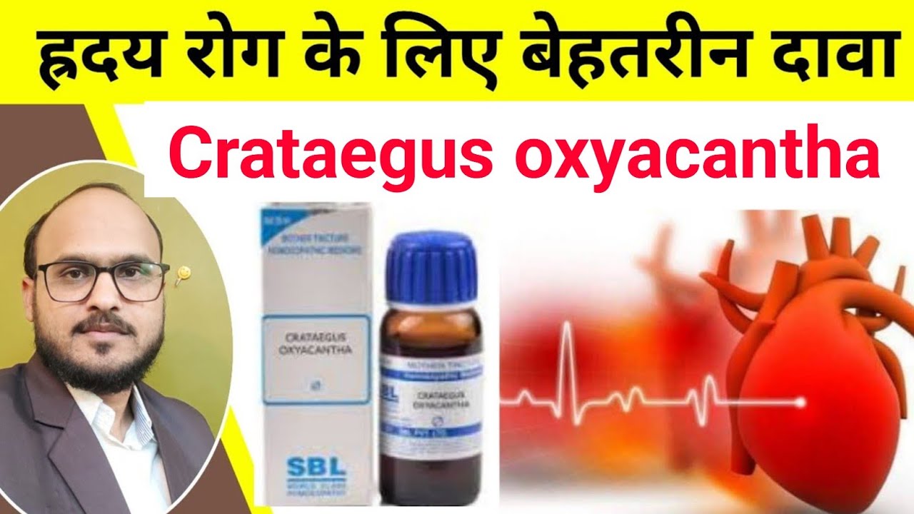 Crataegus oxyacantha / Heart Protector/ह्रदय रोग से बचाए और ठीक करें, Homeopathic medicine,