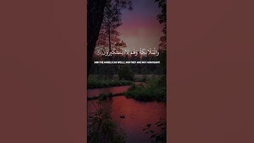تلاوه ياسر الدوسري #قرآن #المصحف #قران_كريم #الرحمن