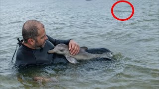 A man rescues a baby dolphin and then something shocking happens