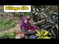 Village life   naintara official village vlog naintaraofficial