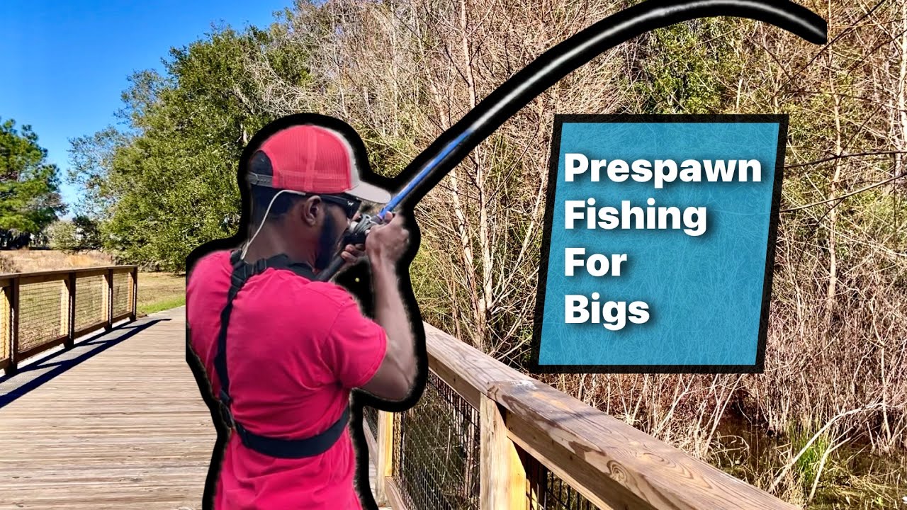 Early Spring Bass Fishing For the BIGGEST Bass| Florida Pond Hopping (Bank Fishing)
