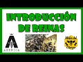 Introducción de reinas