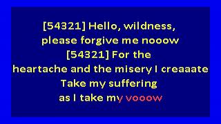 Sufjan Stevens  - Will Anybody Ever Love Me (karaoke)