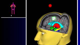 brain Kinect