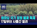 태화강 국가 정원 봄꽃 축제, 17일부터 사흘간 열려 / SBS