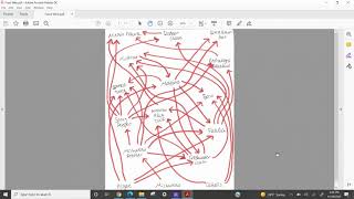 Food Webs Argument Poster