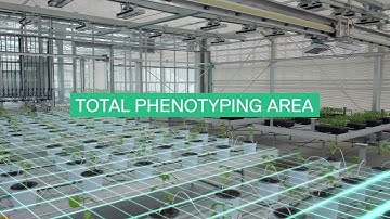 FieldScan Syngenta Biologicals  - High Throughput phenotyping for biostimulant research