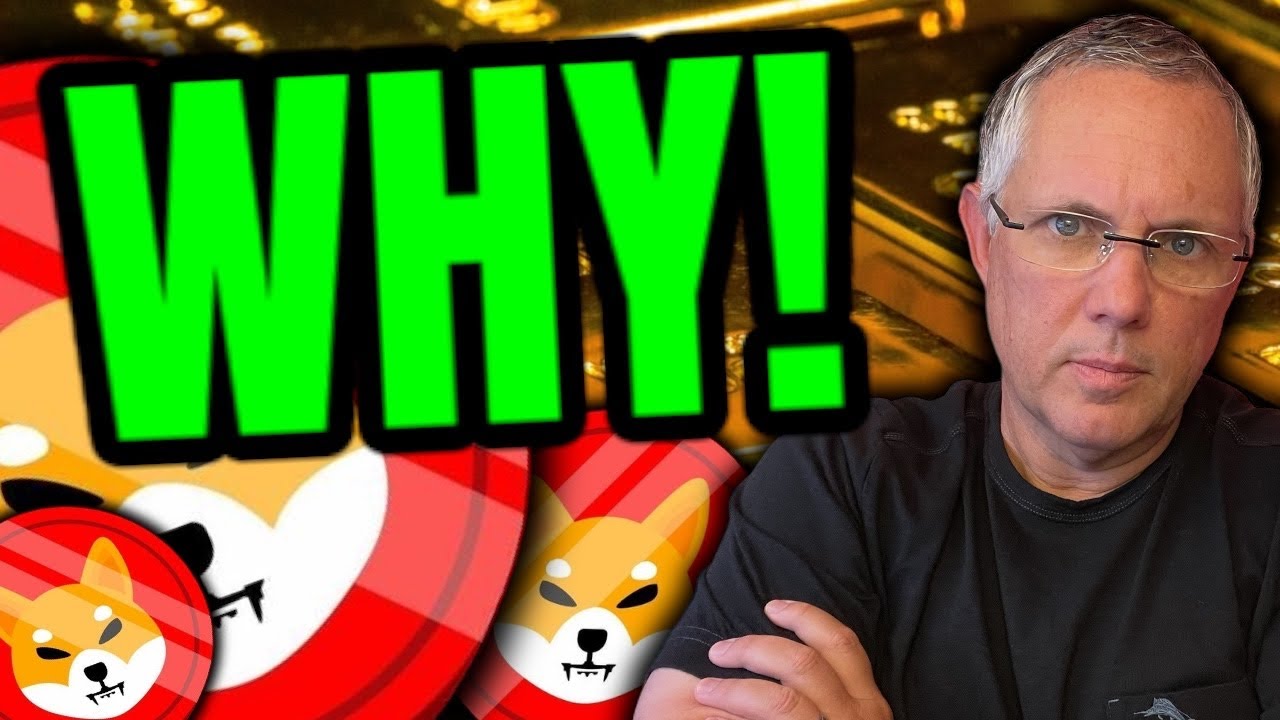 SHIBA INU - WHY IT HAPPENED! THE REASONS EXPLAINED! サムネイル