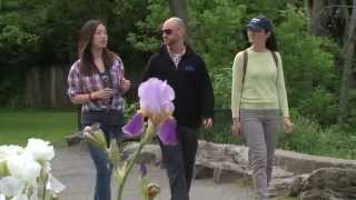 International Education - Welcome Undergraduate Students