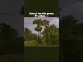 Rain vibes 😍........ #youtubeshorts #explorepage#rain #mausam#youtube #chillvibes