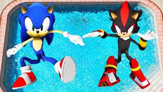 GTA 5 Sonic vs Shadow -  Jump Fails  | Water Ragdolls | Funny moments | (Euphoria Physics)