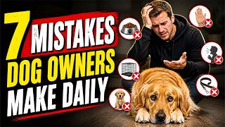 7 Mistakes Dog Owners Make Daily (Stop These Training Errors Now!)
