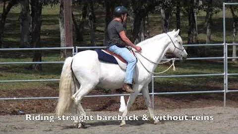 Sharon's Mystic Ranch Clinic May 2015