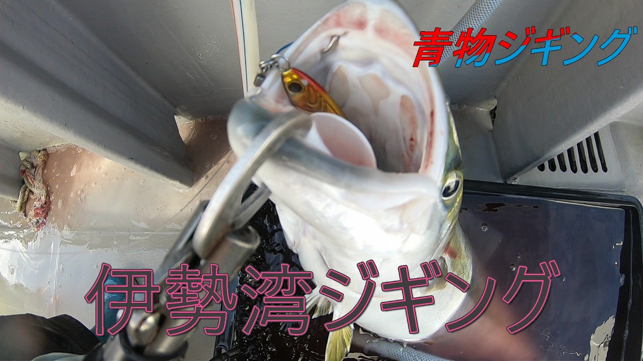 伊勢湾ジギング　光宝丸で青物狙い！ブリ祭りに間に合ったか！？