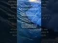 Baqara 88 #Rainy #health #nature #asmr #islamic#trending #quran #life #savewater #relaxing