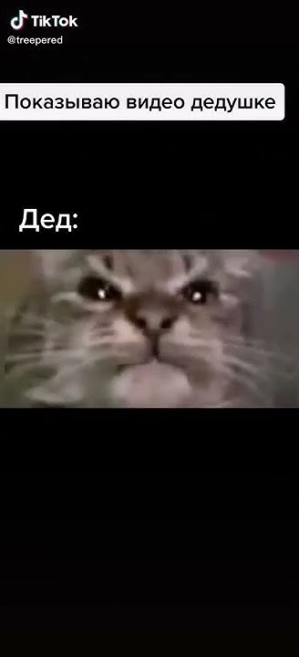 дед ты маму мав - YouTube