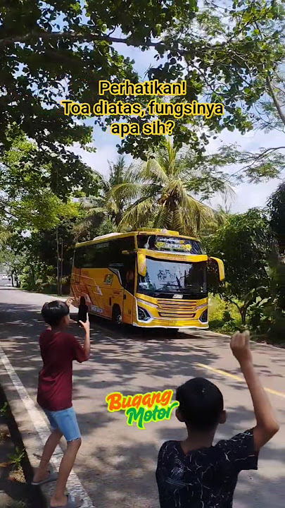 Nada Basuri MANUK DADALI bus Digimon DAV #teloletbasuri #mobilbasuri #busmania