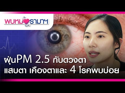 ฝุ่นPM 2.5 กับดวงตา แสบตา เคืองตา และ 4 โรคพบบ่อย : พบหมอรามาฯ #RamaHealthTalk (ช่วงที่ 1) 8.2.2562