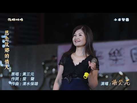 謝癸花 ~ 思念故鄉的情人  ( 黃三元  歌曲 )  2026.7.30  小米樂團  中央廣場  ~海豚映像~