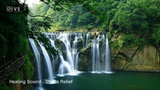 Nature’s Symphony: Forest and Water Sounds for Relaxation, Meditation, and Deep Sleep