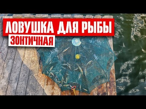 Зонтичная ловушка для рыбы с AliExpress