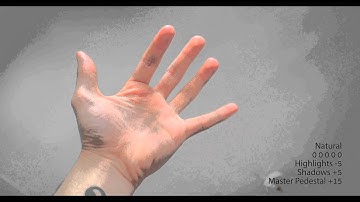 Panasonic GH4: Skin tones vs dynamic range (4K)