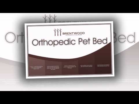 best-price-brentwood-4-inch-gel-memory-foam-orthopedic-dog-bed,-100-percent-waterproof