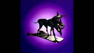 the Black Dog - Bolt 4