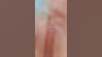 X1 X2 X3 X4 X5 X6 X7 x8 x9 x10