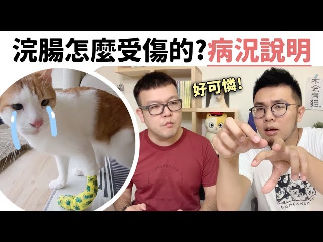 【浣腸怎麼受傷的？病況說明】志銘與狸貓