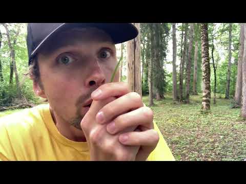How to make sound with grass ￼