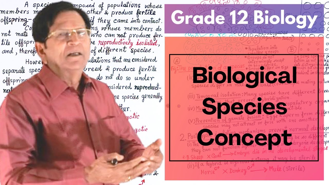 Biological Species Concept || Grade 12 Biology