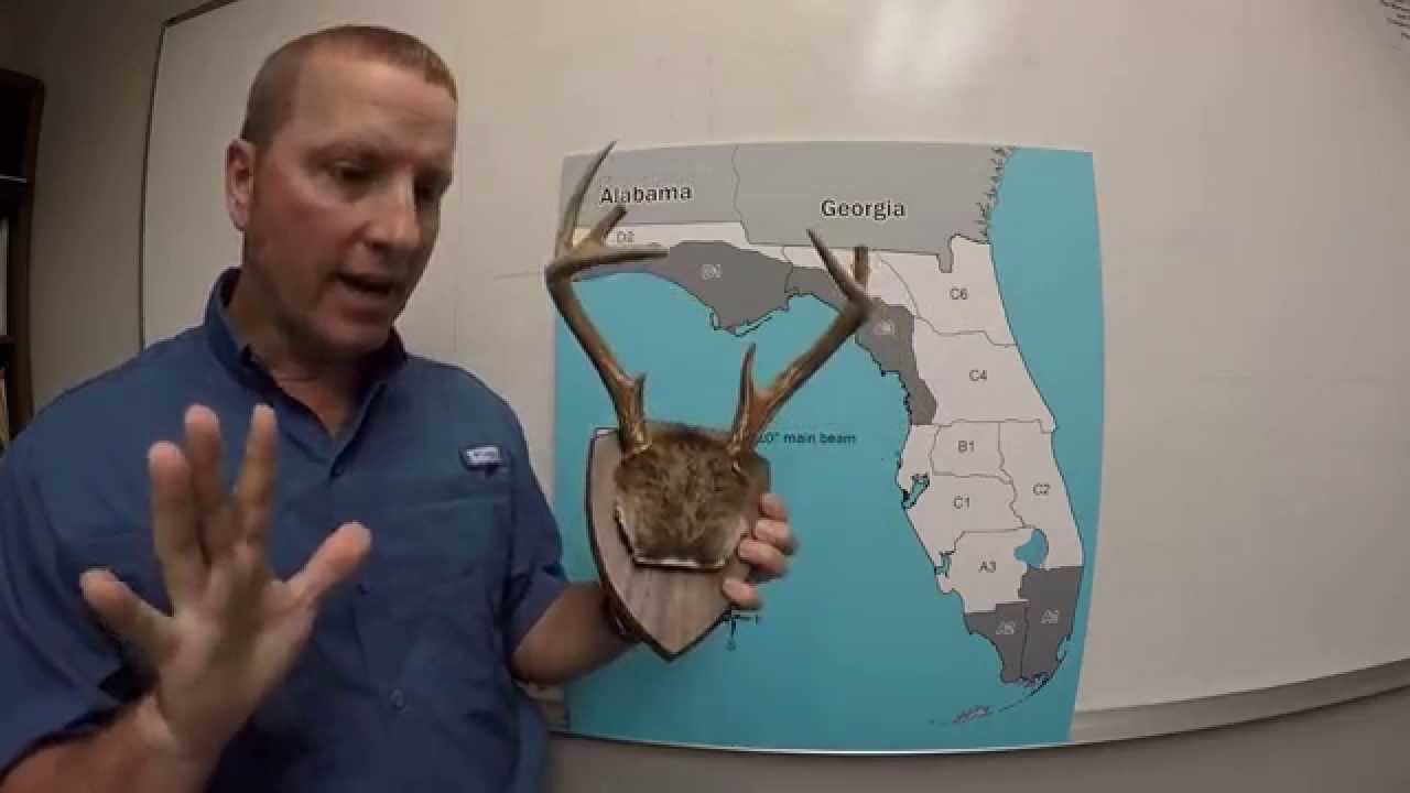 Deer Management Units (DMUs) go statewide with differing antler
