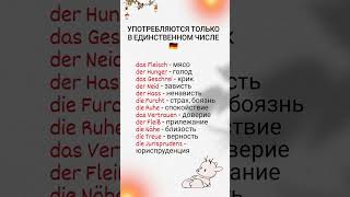 Немецкие слова, которые употребляются только в единственном числе и не имеют множественного.