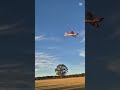 plane stunts #airplane #rc #aviation #rcaircraft #fyp