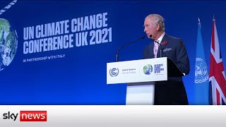 COP26: Prince Charles says 'time has quite literally run out'