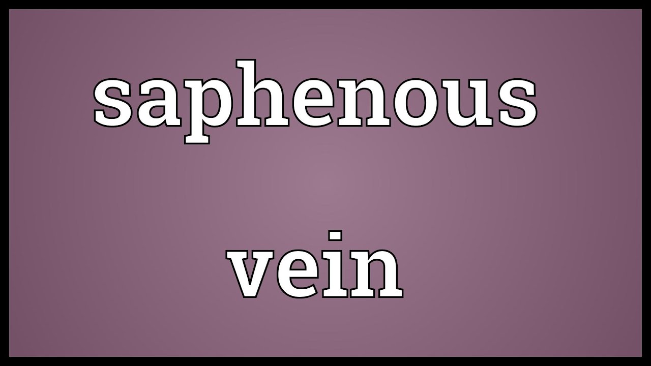 Saphenous Vein Meaning YouTube