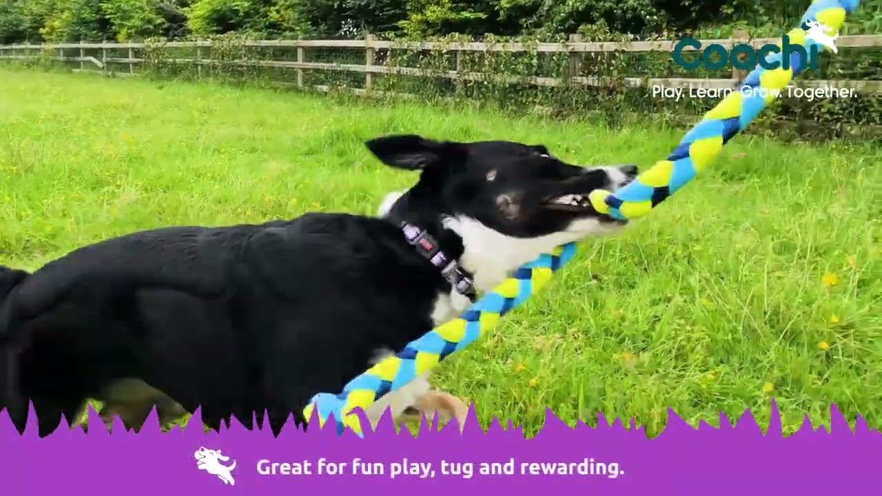 Reward Toys - Coachi Tuggi Tug