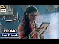 Watch Hania Last Episode | Promo | ARY Digital Drama Online In Hd